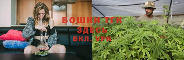 мяу мяу мука Беломорск