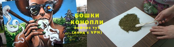 кокс Белокуриха