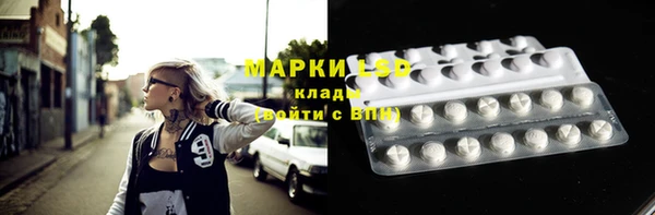 мяу мяу мука Беломорск